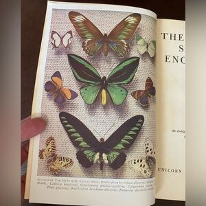 Universal Standard Encyclopedia 50s Bronze-Cell Vol. 4